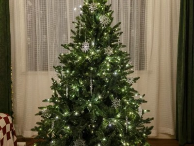 Christmas decoration in a corner of the living room