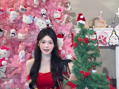 Zhuhai! Too advanced! 🎀 The first pink Kitty cat Christmas tree 🎄